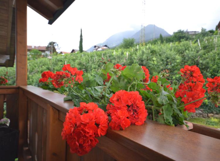 Balkon mit Ausblick