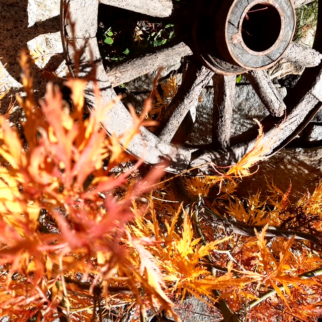 Herbst Herbst