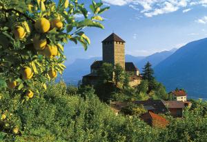 Schloss Tirol in Dorf Tirol