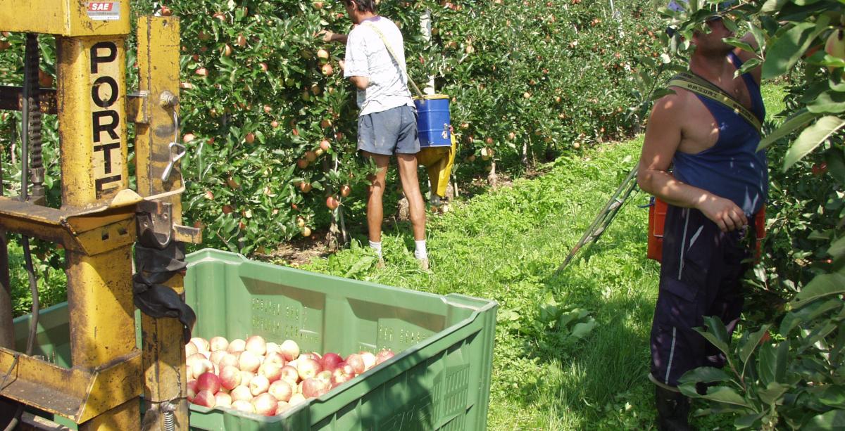 Agriturismo a Caines presso Merano