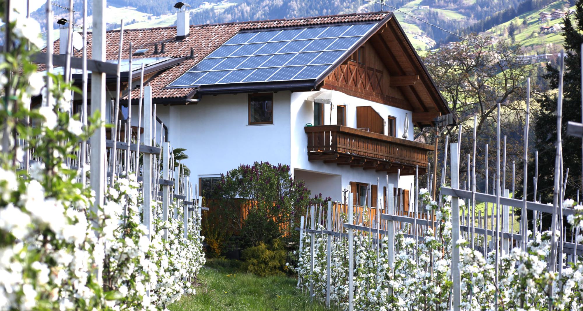 Langeshof con pannelli solari e meleti in fiore in primavera