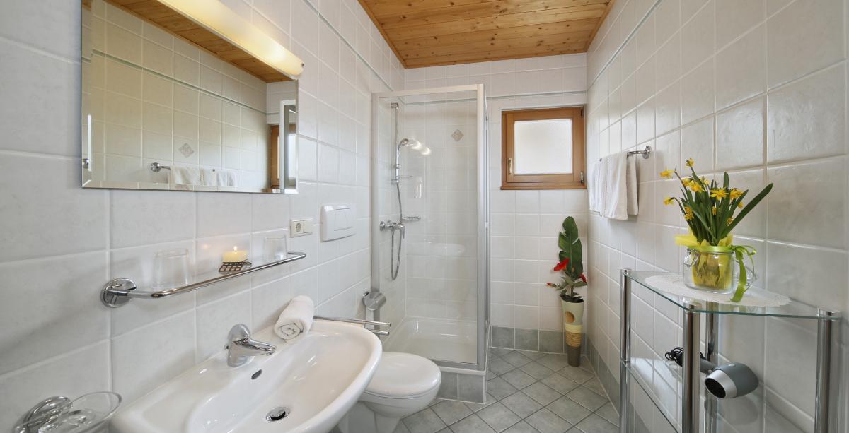 Apartment/Ferienwohnung Löwenzahn am Langeshof